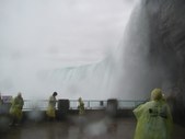 Enlarge photo 45