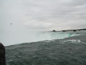 Enlarge photo 49
