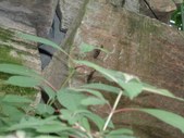 Enlarge photo 54