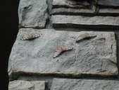 Enlarge photo 56