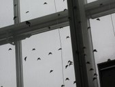 Enlarge photo 57