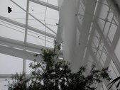 Enlarge photo 58