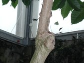 Enlarge photo 69