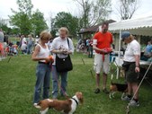 Enlarge photo 93