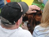 Enlarge photo 102