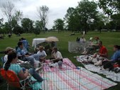 Enlarge photo 105