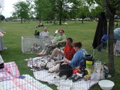 Enlarge photo 106