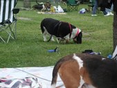 Enlarge photo 117