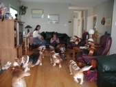 Enlarge photo 120