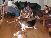 Enlarge photo 122