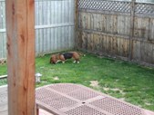 Enlarge photo 133