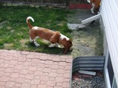 Enlarge photo 134