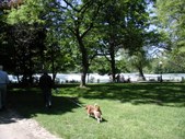 Enlarge photo 21