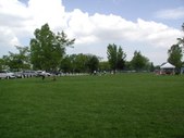 Enlarge photo 32