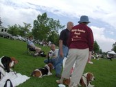 Enlarge photo 51