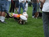Enlarge photo 52