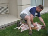 Enlarge photo 11