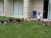 Enlarge photo 18