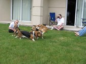 Enlarge photo 19