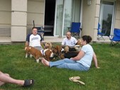 Enlarge photo 31