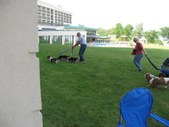 Enlarge photo 38