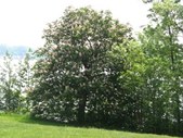 Enlarge photo 43