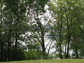 Enlarge photo 45