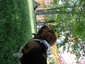 Enlarge photo 111