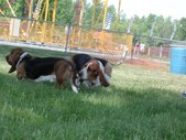 Enlarge photo 113