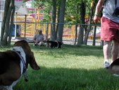Enlarge photo 114