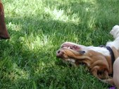 Enlarge photo 116