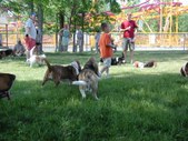 Enlarge photo 120