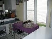 Enlarge photo 126