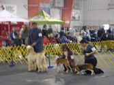 Enlarge photo 15