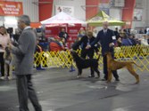 Enlarge photo 17