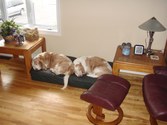 Enlarge photo 27