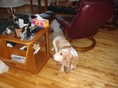 Enlarge photo 17