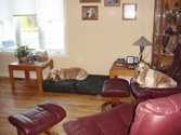 Enlarge photo 18