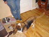 Enlarge photo 26