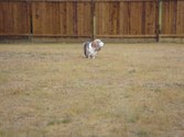 Enlarge photo 31