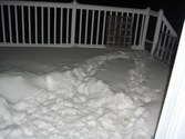 Enlarge photo 46