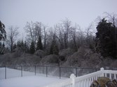 Enlarge photo 47