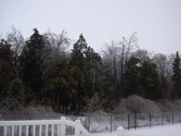Enlarge photo 48