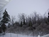 Enlarge photo 49