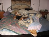 Enlarge photo 4