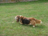Enlarge photo 9
