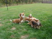 Enlarge photo 14