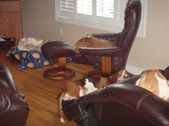 Enlarge photo 26