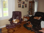 Enlarge photo 30