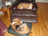 Enlarge photo 34